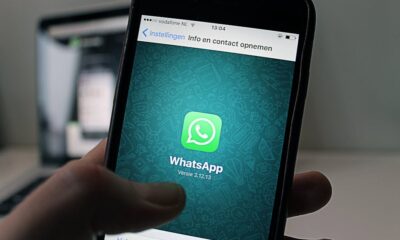 apkmirror whatsapp