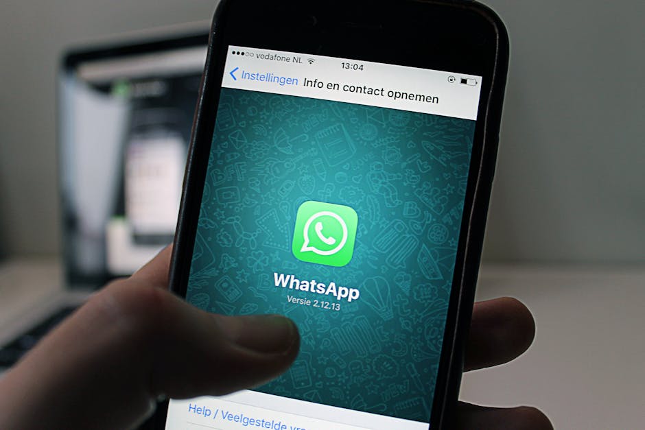apkmirror whatsapp